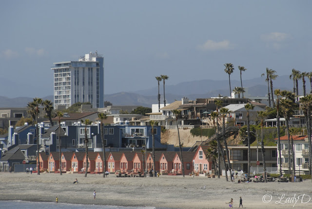 Oceanside Beach Rentals