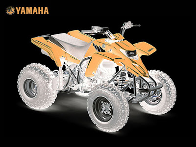 Yamaha Blaster ATV Pictures