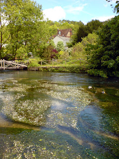 The River Itchen