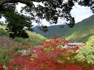 Jingoji Temple, Kyoto sightseeing