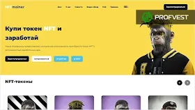 NFT Mainer обзор и отзывы проекта