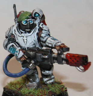 Militarum Tempestus