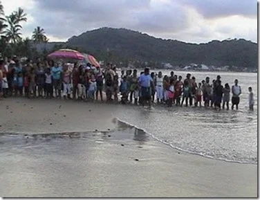 tortugas en guayabitos