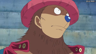 ワンピース アニメ エニエスロビー編 287話 チョッパー Tony Tony Chopper | ONE PIECE Episode 287 Enies Lobby