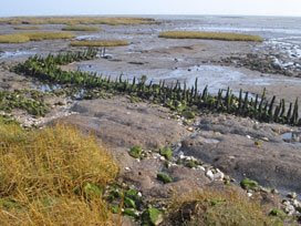 Canvey old sea wall, at Canvey Point