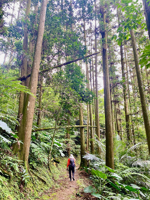 福山古道