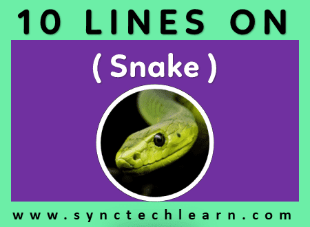 short essay on snake