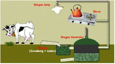 Pengertian biomassa dan penerapan biomassa