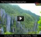 Malaysia part 10 - The Pinnacles of Mulu National Park