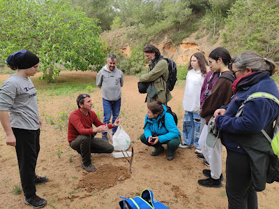 Fotografia durant el projecte de les olibasses, escoltan les explicacions de n'Esteban.