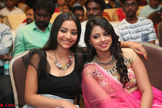 Geethanjali and Swetha Basu at Mixture Potlam Movie Audio Launch Feb 2017 011.JPG