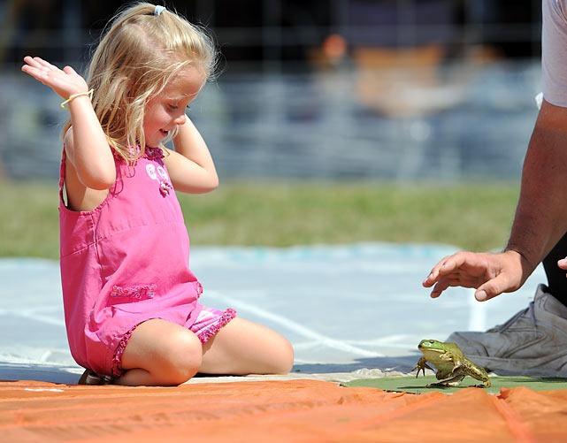 frog-jump-festival (1)