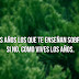 15 frases bonitas de la vida 