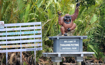 Taman nasional tanjung puting