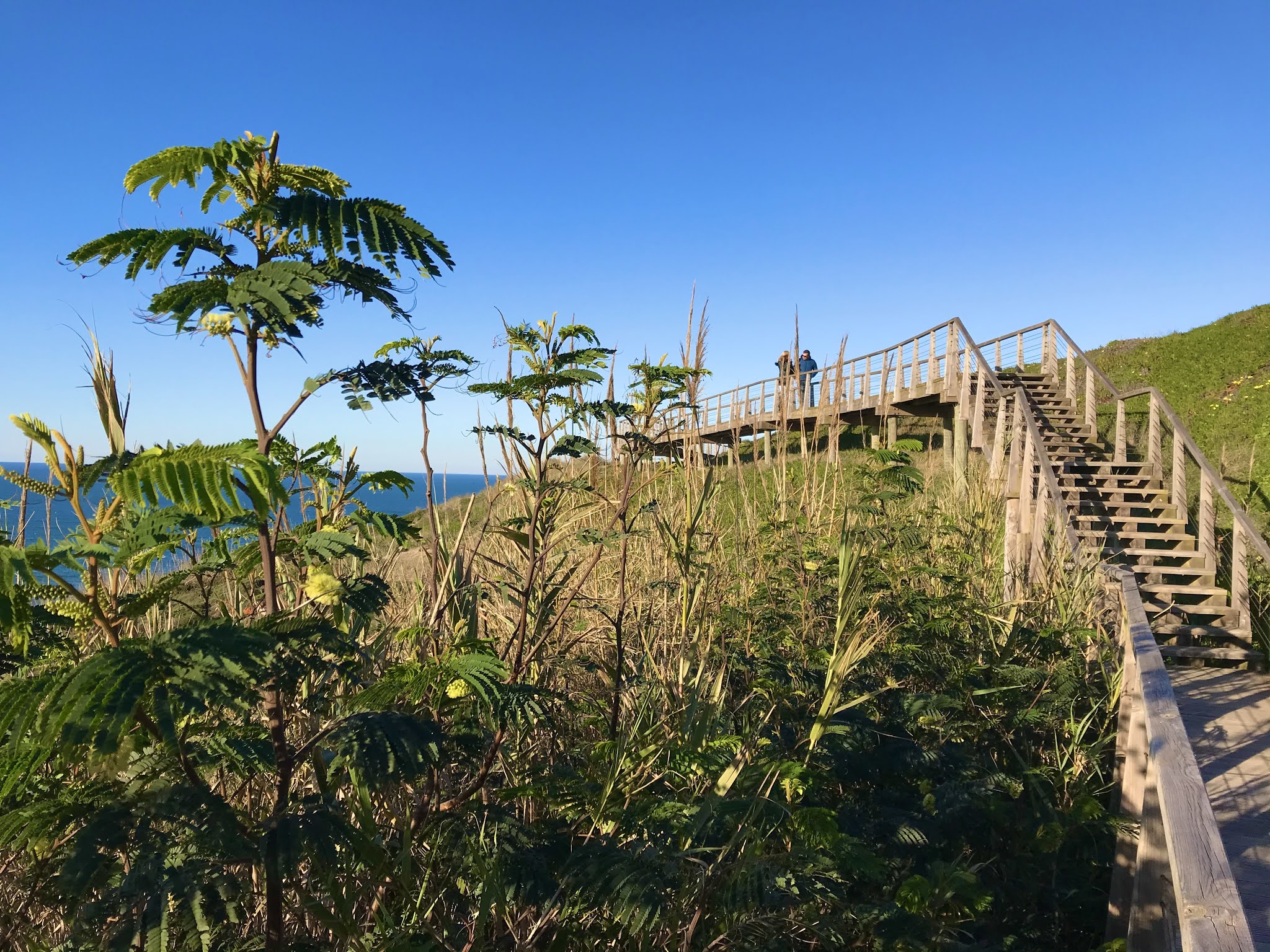 Passadiços da Foz do Arelho, Óbidos, Portugal