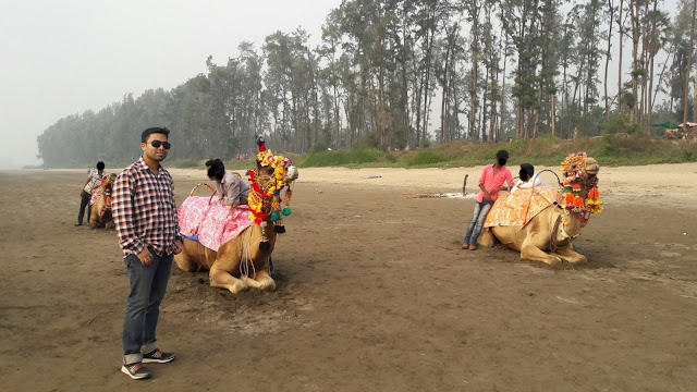 Camel ride on kelve beach