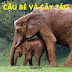 #11 Cậu Bé Và Cây Táo