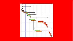Planning & Control with Oracle Primavera P6 PPM Professional