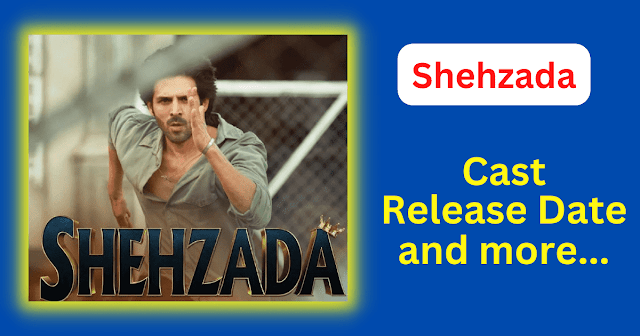 Shehzada Movie Release Date Cast Budget 2023 - Bolly Views