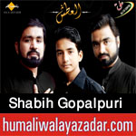 http://www.humaliwalayazadar.com/2016/06/shabih-gopalpuri-nohay-2015-to-2017.html