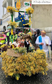 fête mimosa Saint-Trojan-les-Bains (17)