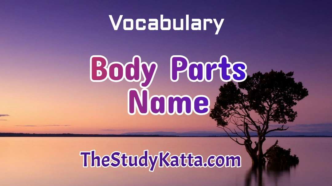 Body parts name | Parts of The Body Name | शरीराच्या अवयवांची नावे - इंग्लिश, हिंदी व मराठी