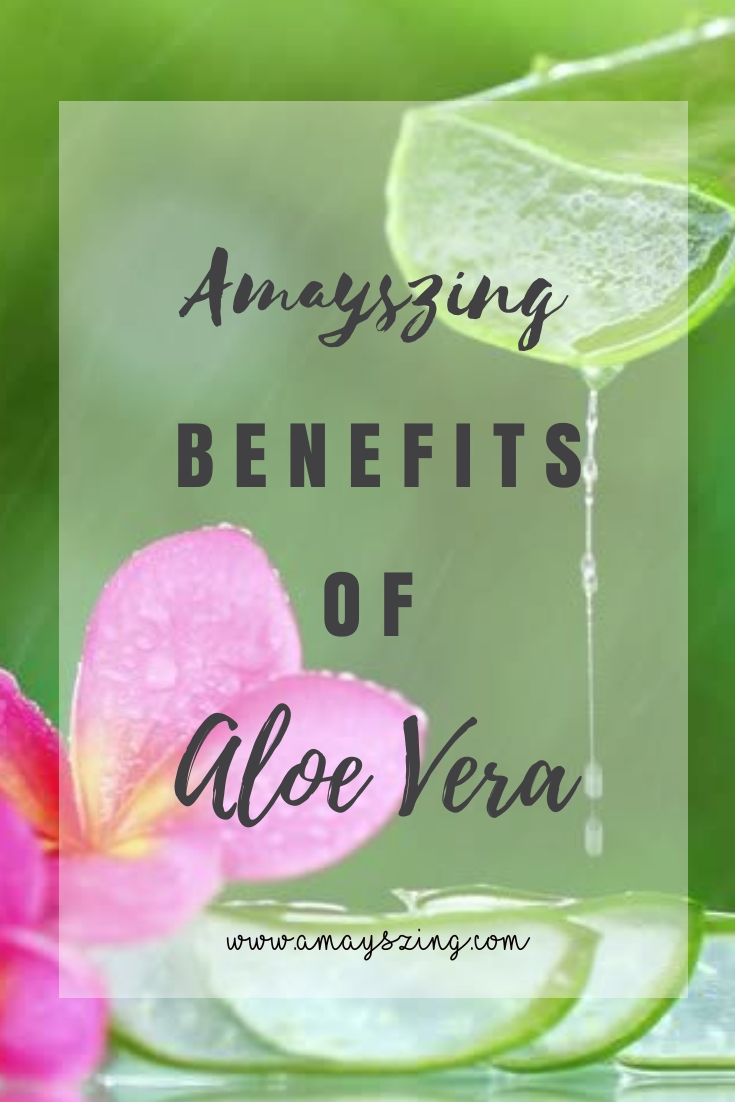 Amayszing Benefits Of Aloe Vera Amayszing Blogs Helping You