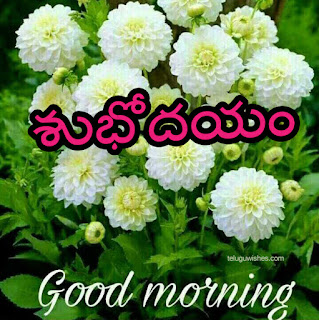 Good Morning Images In Telugu