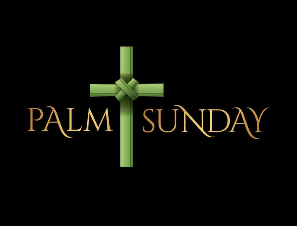 Palm Sunday Pictures