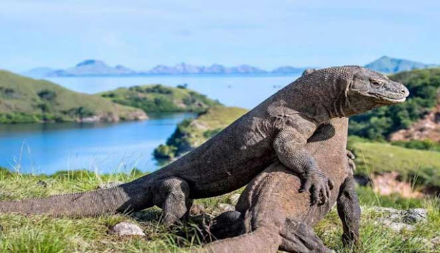 DESTINASI TERATAS DI INDONESIA