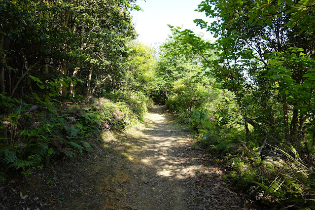 島根県松江市美保関町美保関 ウォーキングコース