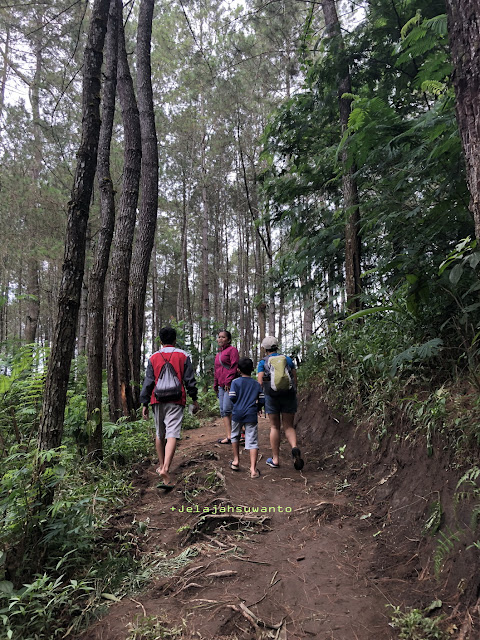 Melewati jalan tanah menuju Curug Badak Batu Hanoman Tasikmalaya|| JelajahSuwanto