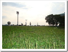 DSC00055