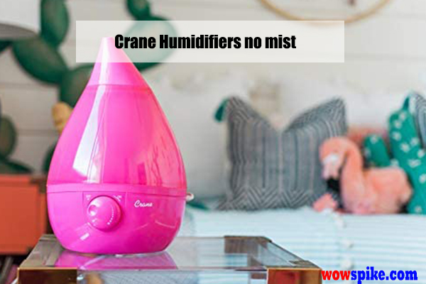 Crane humidifier no mist