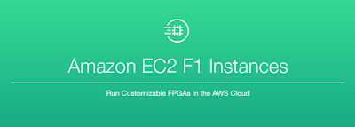 Amazon EC2 F1 instances