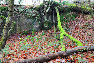 Rocher Saint Germain, Fontainebleau