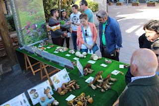 Exposición de la Sociedad Micológica de Barakaldo