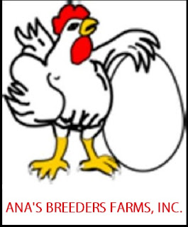 Ana’s Breeders Farm Inc. (ABFI) producer of Farmer’s Fresh Chicken