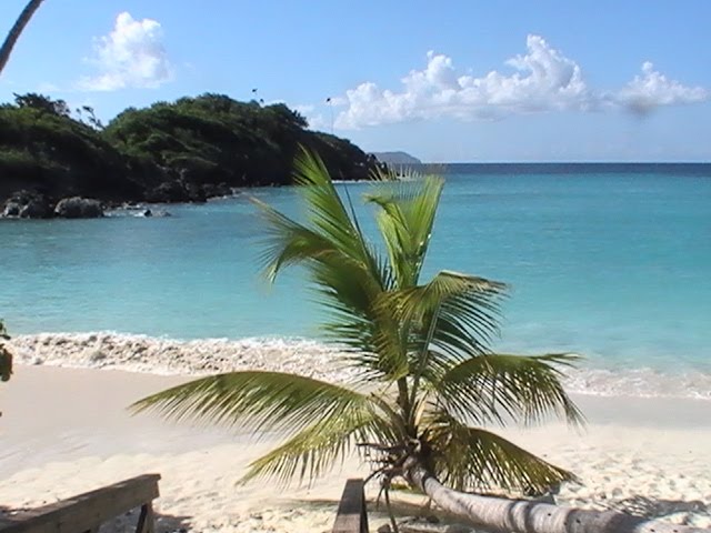 That Water Is Warmer Than Anything I've Swam In...