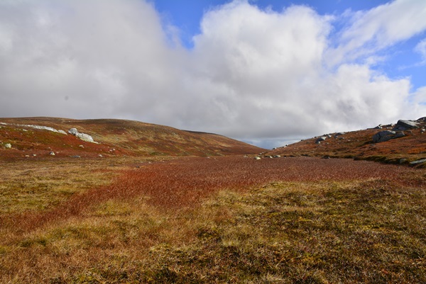 norefjell storleinåsen