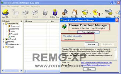 idm 6.02 beta
