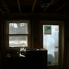 Our Basement Reno Progess