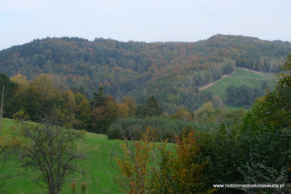 Pogórze-Rożnowskie-z-dziećmi-atrakcje