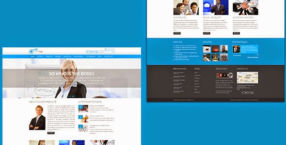 Responsive Theme Wordpress