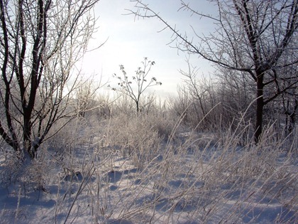 DSC00049_1