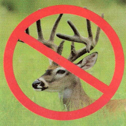  no deer