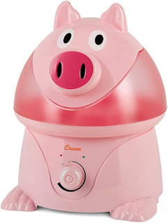 Ultrasonic Cool Mist Humidifier