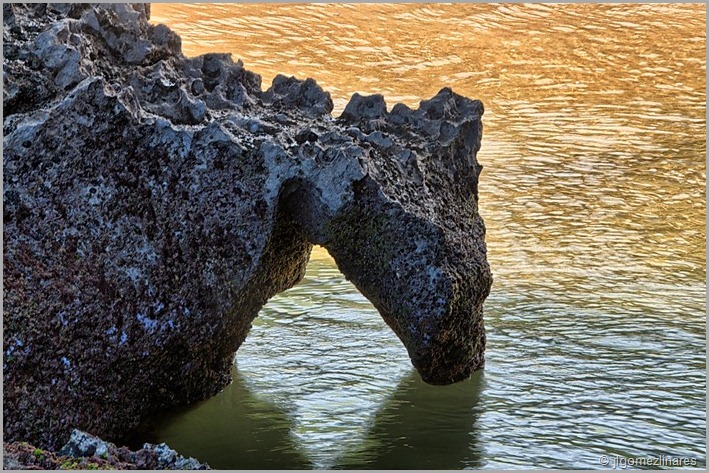 DSC_1143-HDR(3)