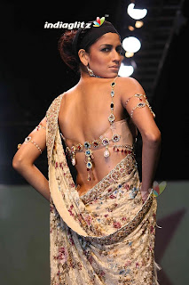 saree Blouse Back Designs - Choli Back Design Pictures - blouse design ideas 2012