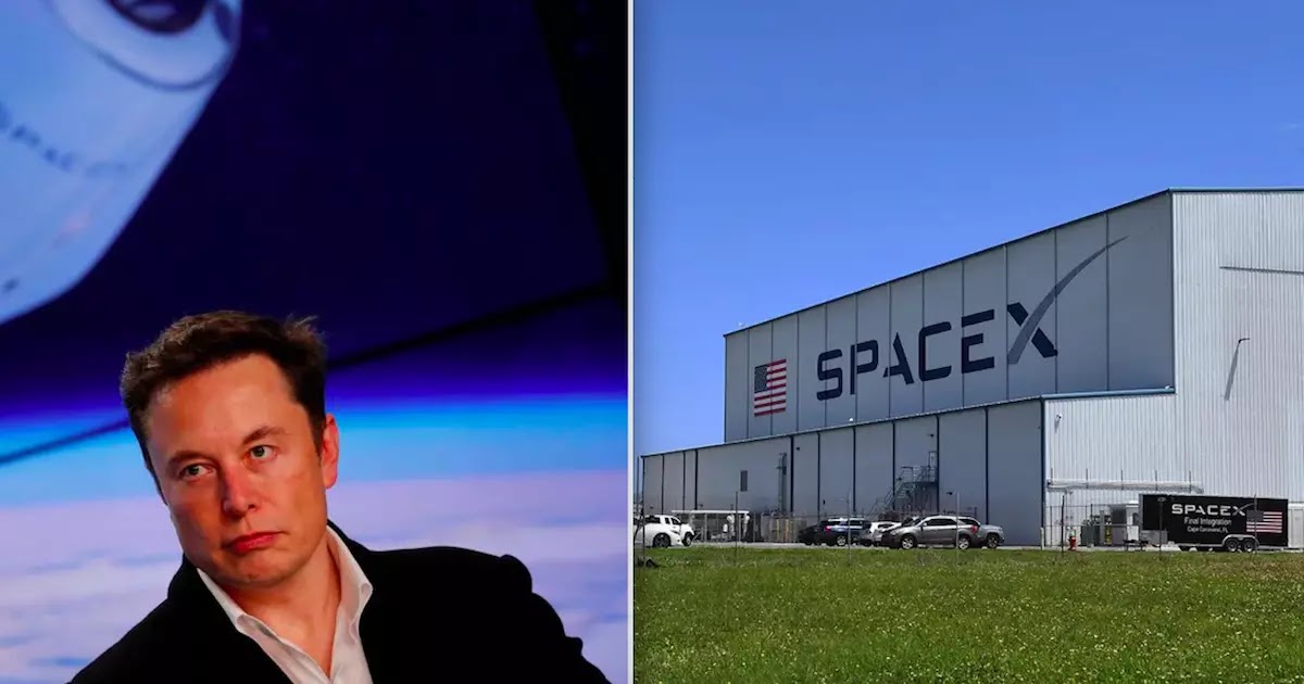 SpaceX Fires At Least Five Employees For Criticising Elon Musk